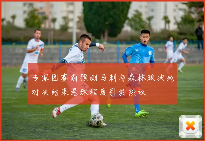 专家团赛前预测马刺与森林狼次轮对决结果悬殊程度引发热议